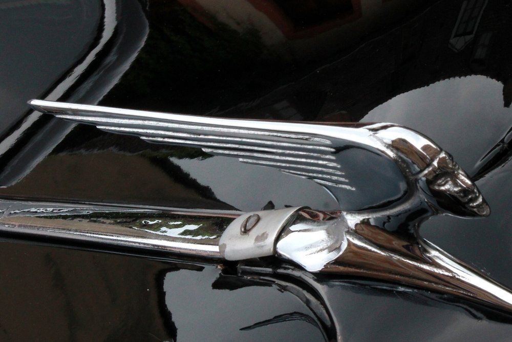 Grille badge, enamelled